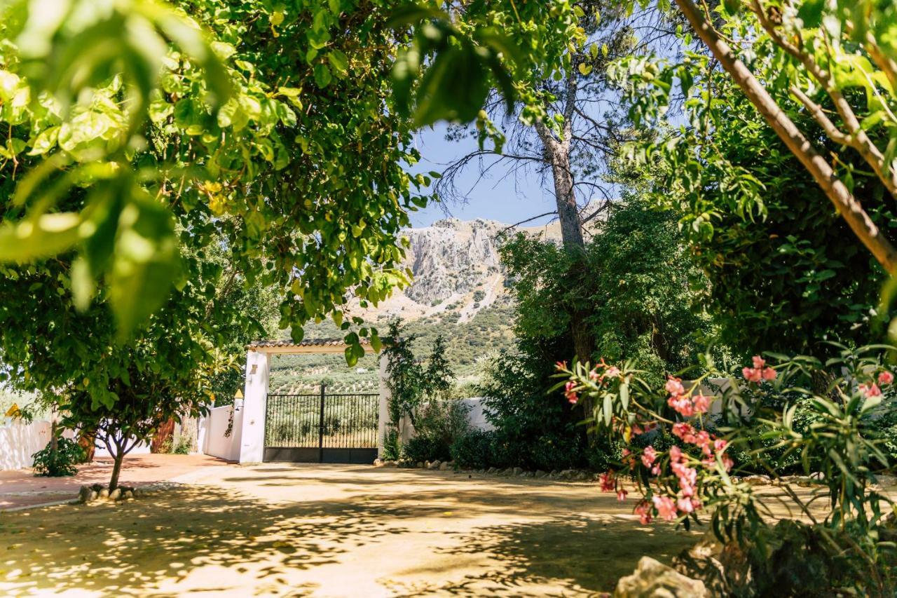 Cortijo Abril Villa ปรีเอโก เด กอร์โดบา ภายนอก รูปภาพ